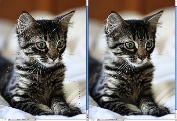 Photoshop Quick Tips #3 - Enhancing Photos with High Pass Filter